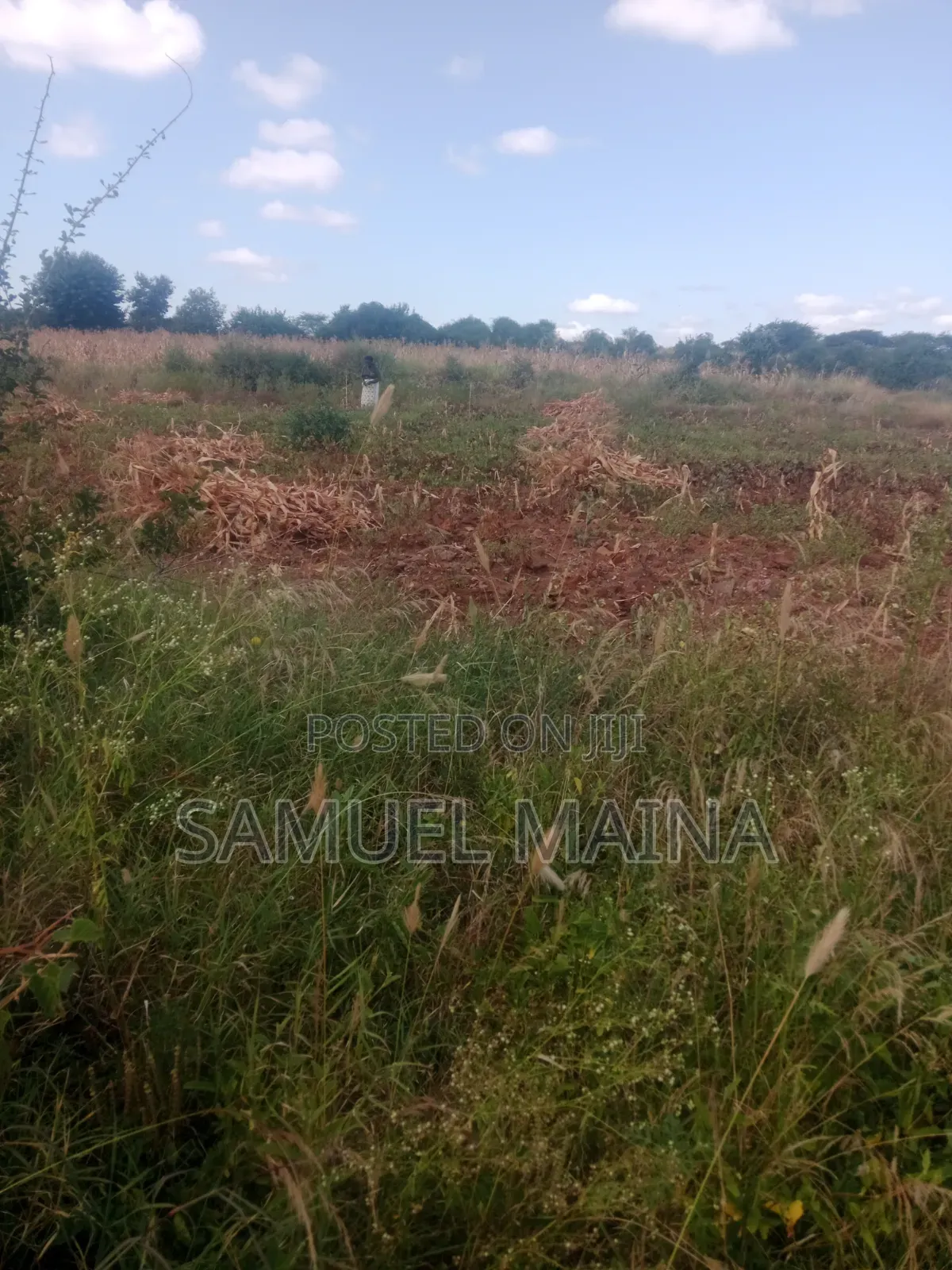 Land for Sale