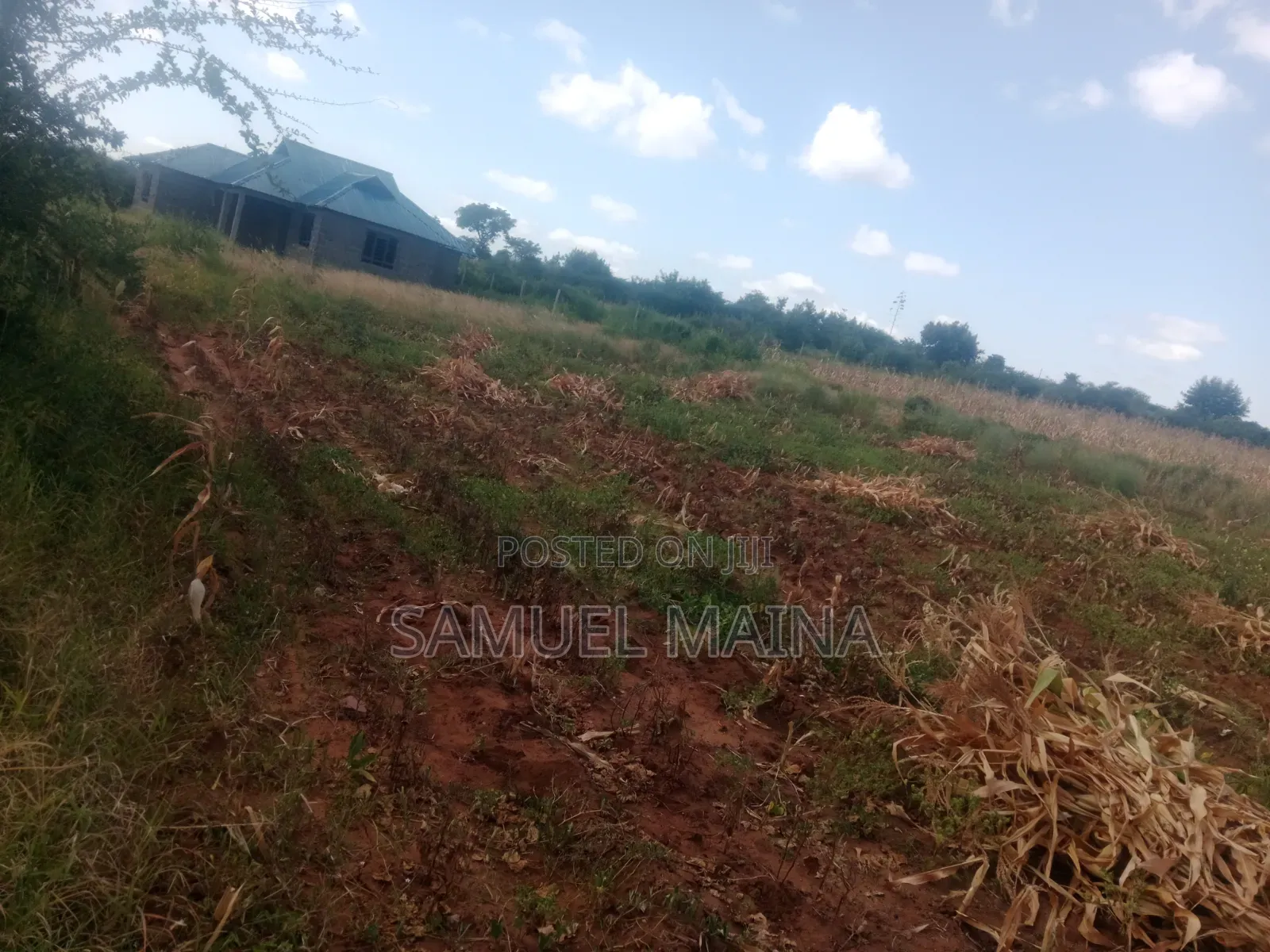 Land for Sale