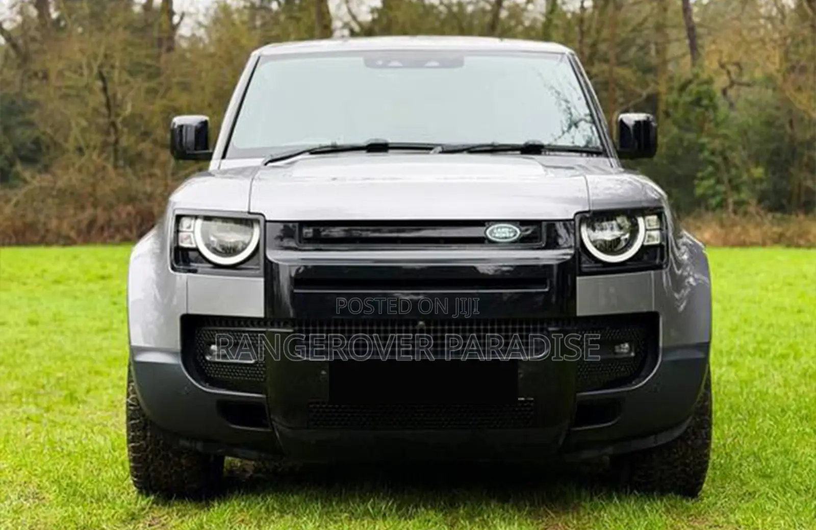 Land Rover Defender 110 S 4x4 2020 Gray