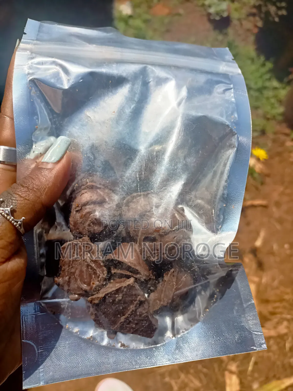 Edible Cookies, Chocolate and Gummies