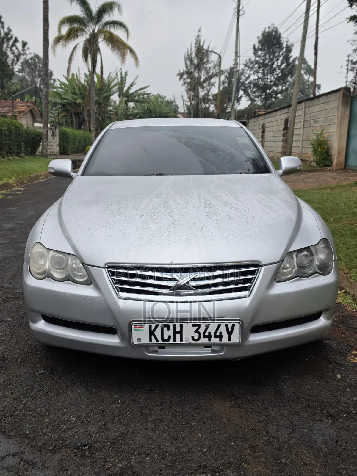 Toyota Mark X 2009 Silver