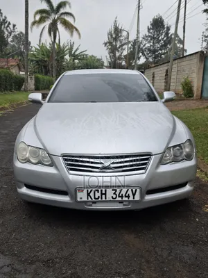 Toyota Mark X 2009 Silver