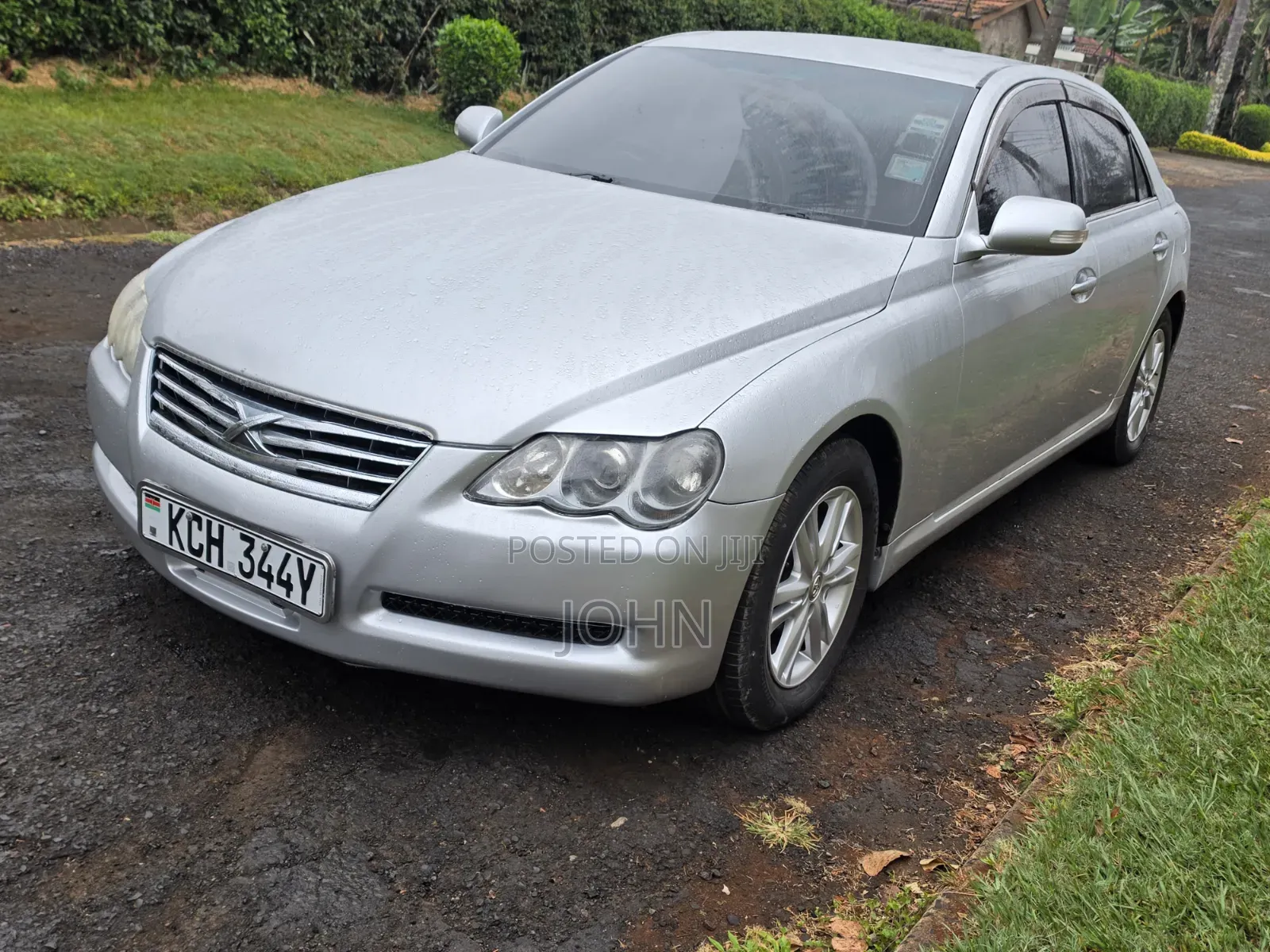 Toyota Mark X 2009 Silver