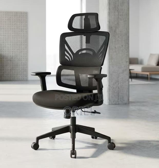 Office Chair : Orthopedic High-Back Mesh Chair