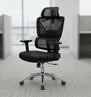 Office Chair : Orthopedic High-Back Mesh Chair