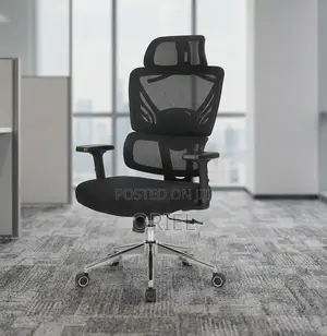 Office Chair : Orthopedic High-Back Mesh Chair