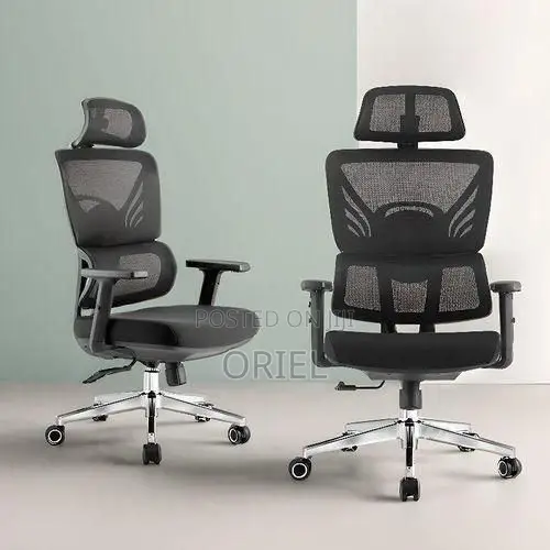 Office Chair : Orthopedic High-Back Mesh Chair