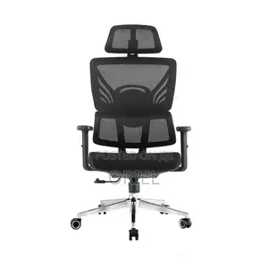 Office Chair : Orthopedic High-Back Mesh Chair