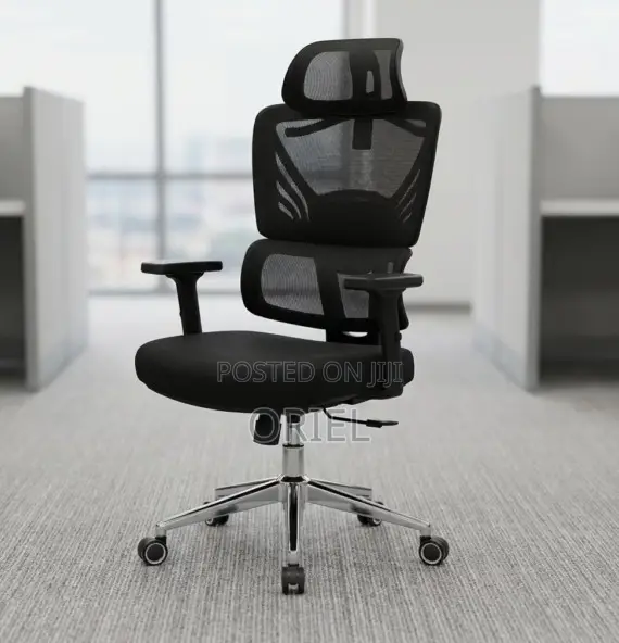 Office Chair : Orthopedic High-Back Mesh Chair