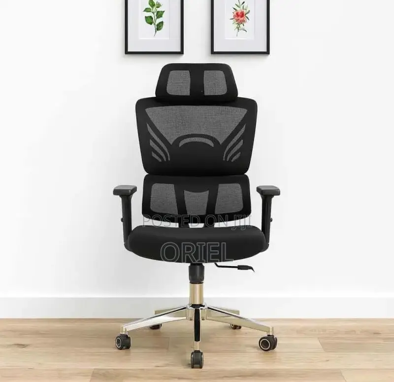 Office Chair : Orthopedic High-Back Mesh Chair