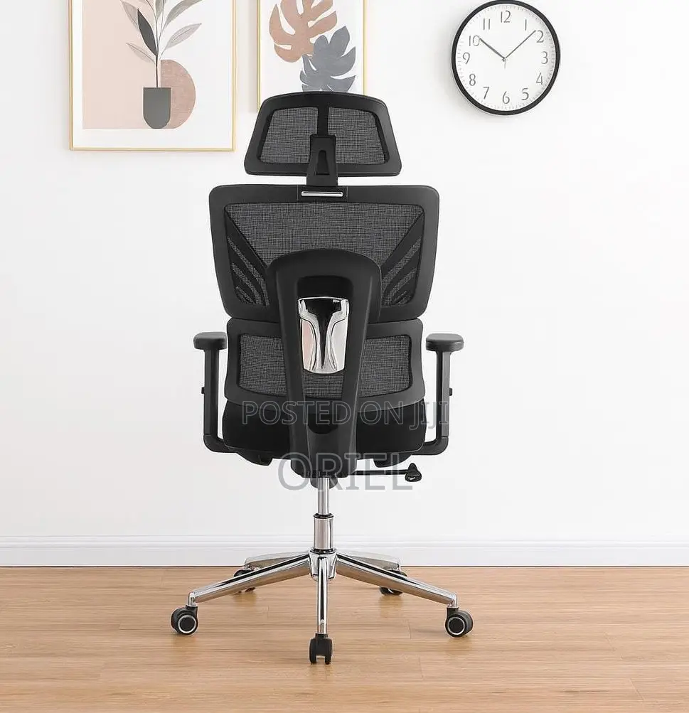 Office Chair : Orthopedic High-Back Mesh Chair