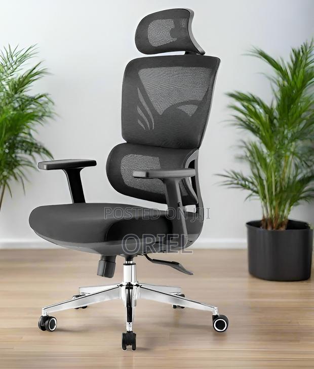 Office Chair : Orthopedic High-Back Mesh Chair - thumbnail 13