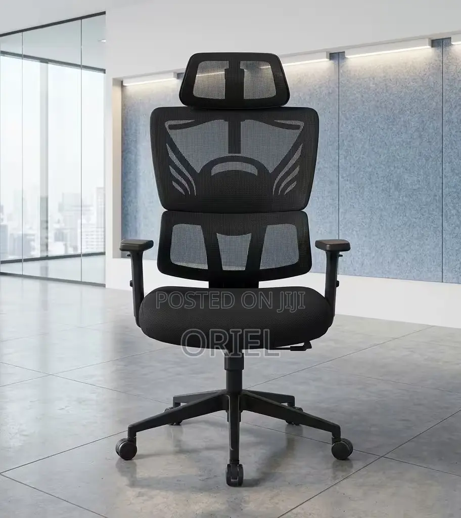 Office Chair : Orthopedic High-Back Mesh Chair