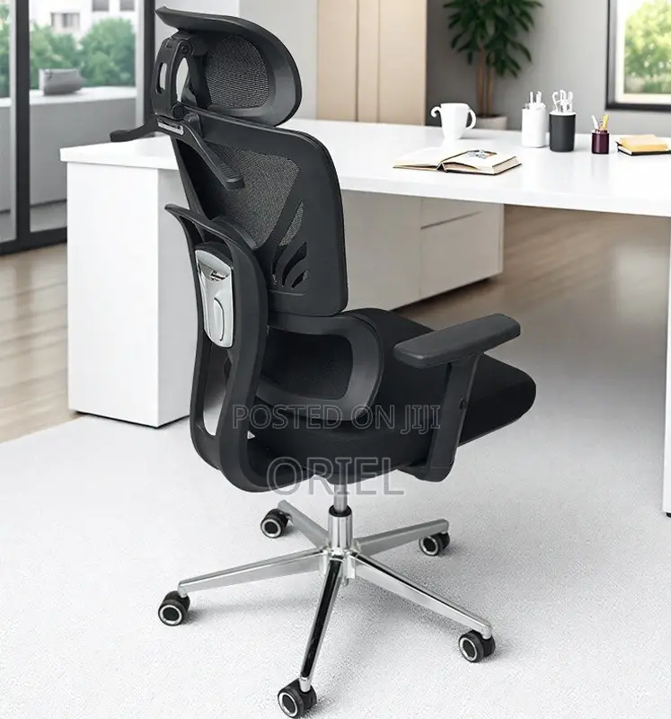 Office Chair : Orthopedic High-Back Mesh Chair