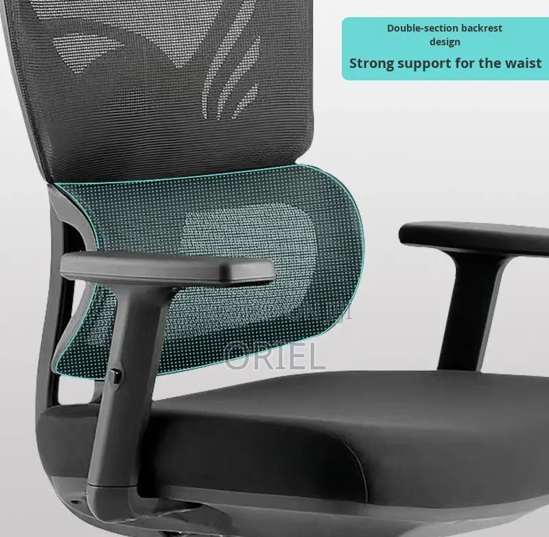 Office Chair : Orthopedic High-Back Mesh Chair