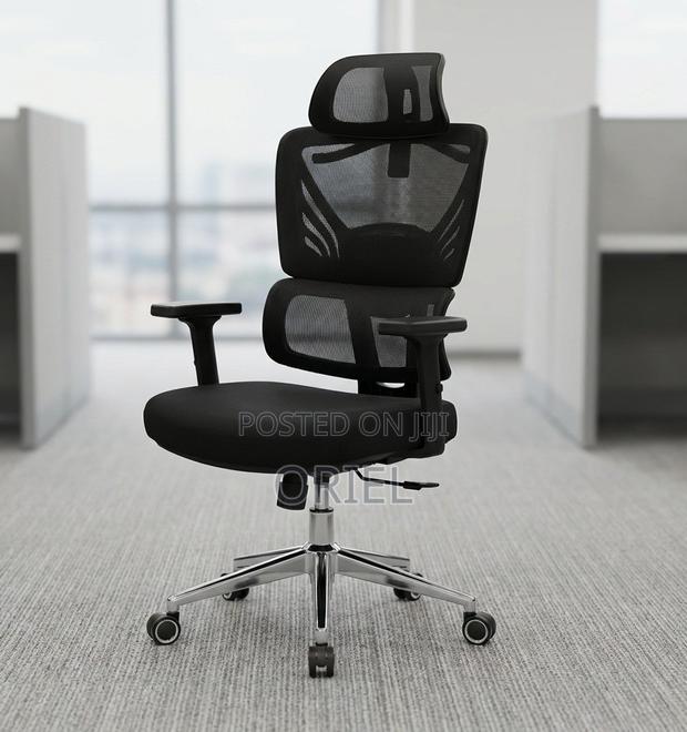 Office Chair : Orthopedic High-Back Mesh Chair - thumbnail 18