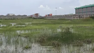 5 Acres for Sale Behind Nice Lovely