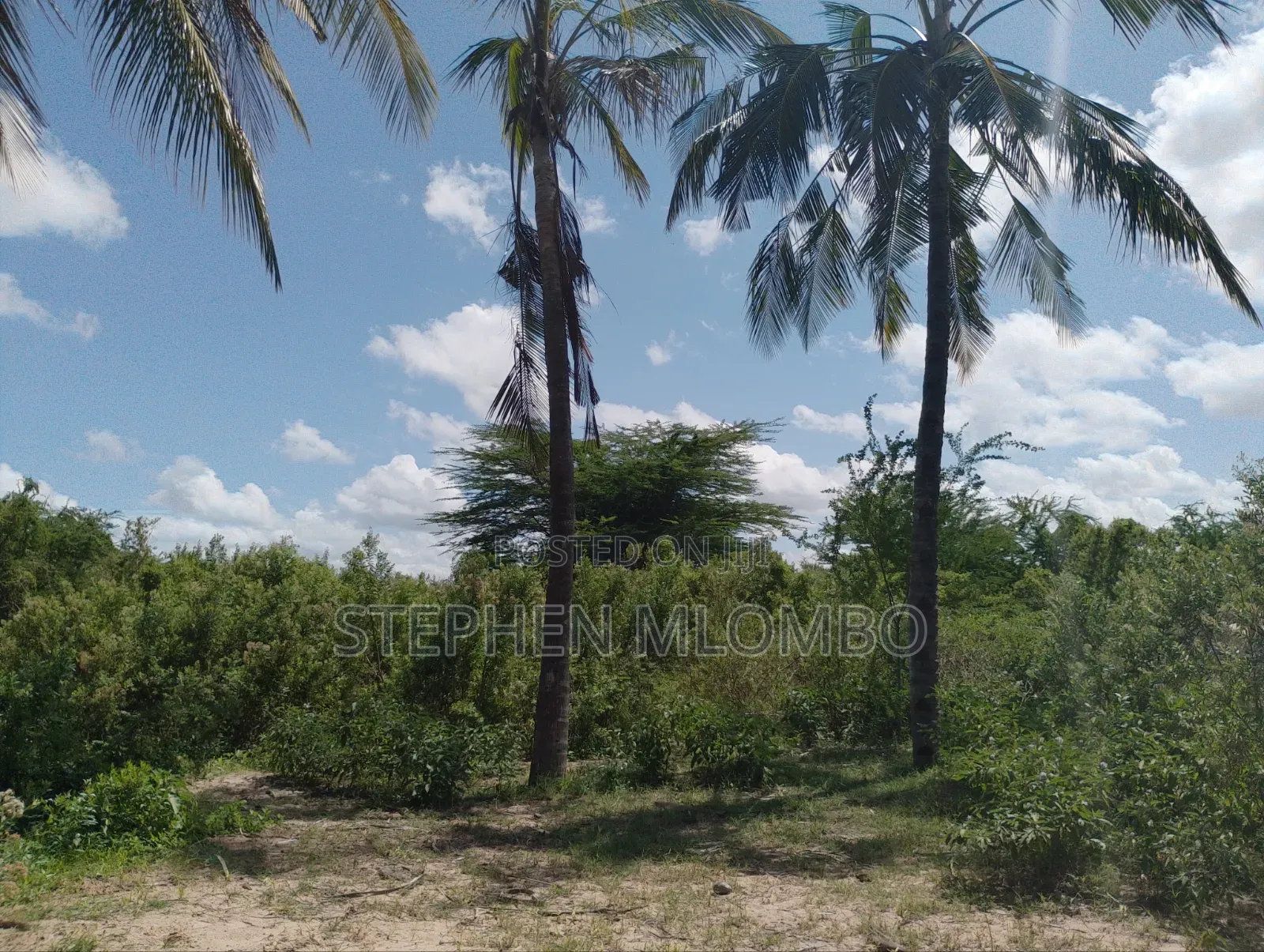 10 Acres in Garashi, Kilifi