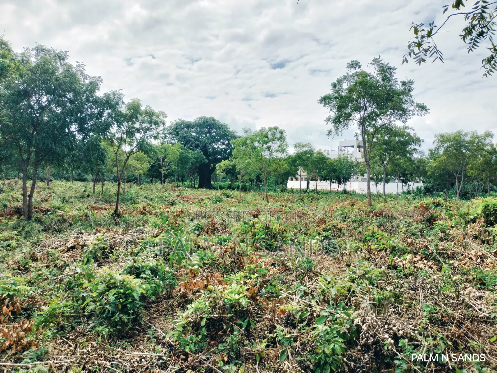 One Acre Third Row Prime Land in Baobab Hotel Area!!
