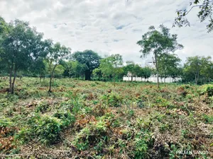 One Acre Third Row Prime Land in Baobab Hotel Area!!