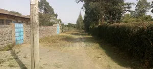 2 Plots 50×100 - 2plots100×100--1/2 Acer Plot
