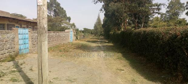 2 Plots 50×100 - 2plots100×100--1/2 Acer Plot - thumbnail 3
