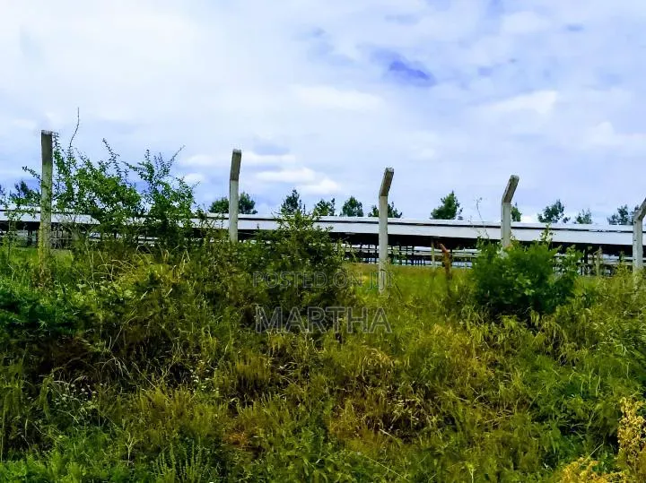 Affordable Plots in Matuu Ekalakala