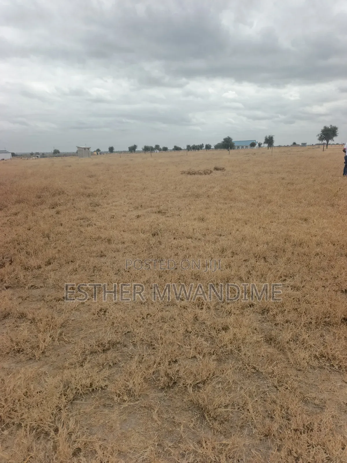 Plots and Lans for Sale