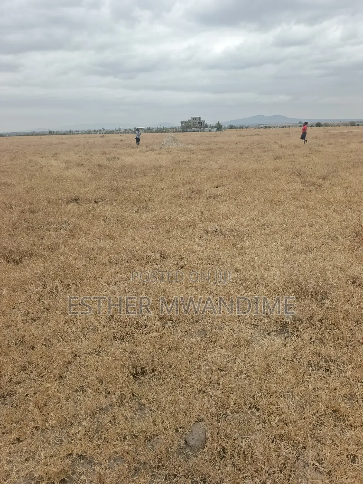 Plots and Lans for Sale