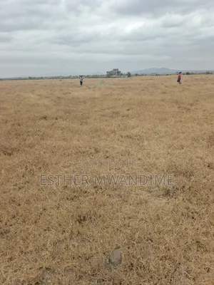 Plots and Lans for Sale