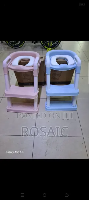 Potty Ladder