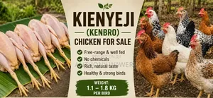 Kenbro Kienyeji