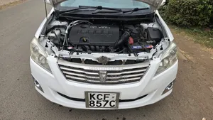 Toyota Premio 2010 White