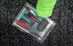 4 Pieces Pet Grooming Kit