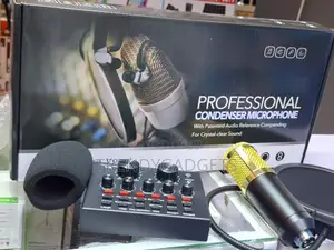 Bm800 Studio Condenser Mic With V8 Sound Card Bundle