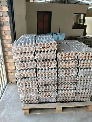 Fresh Eggs