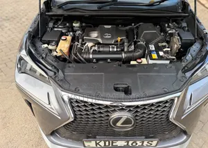 Lexus NX 2014 Gray