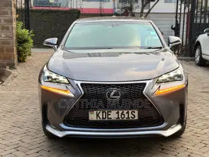 Lexus NX 2014 Gray