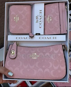 Elegant Women's Coach Tote Bag – Bagbelleculture