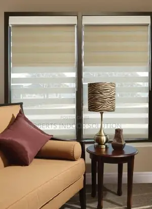 Pleated Zebra Blinds