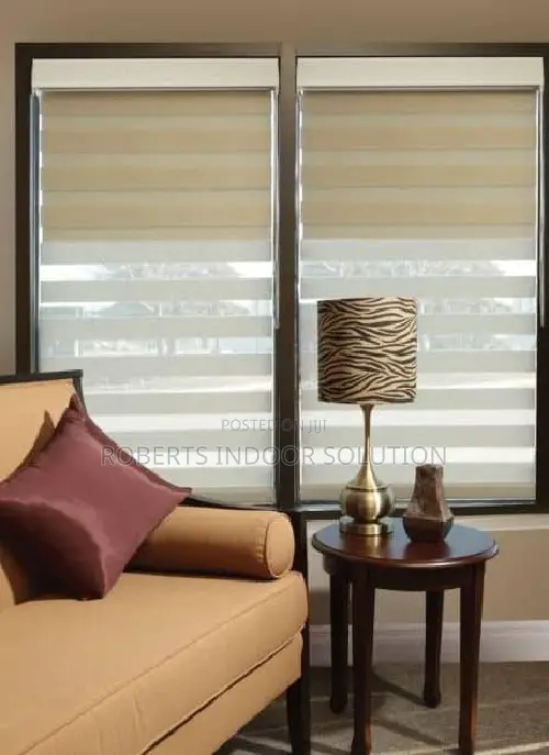 Pleated Zebra Blinds