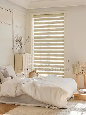 Pleated Zebra Blinds