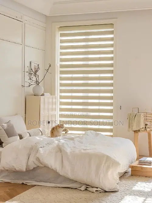 Pleated Zebra Blinds
