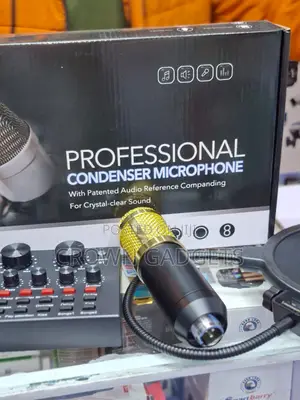 Bm800 Condenser Mic Kit With V8 Audio Interface and Stand