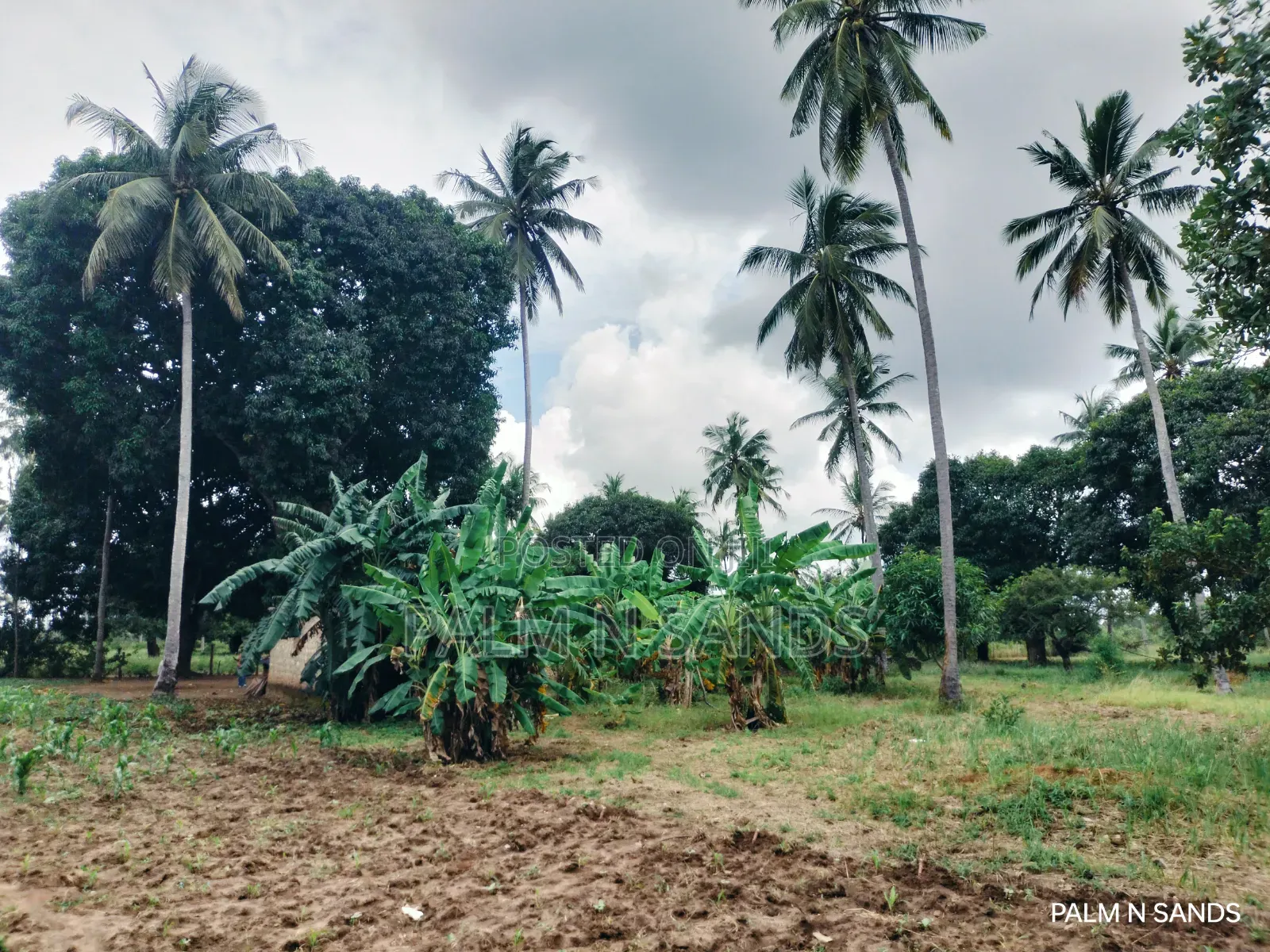  Unbeatable Value in Msambweni – 18 Acres for Only KSH 8m! 