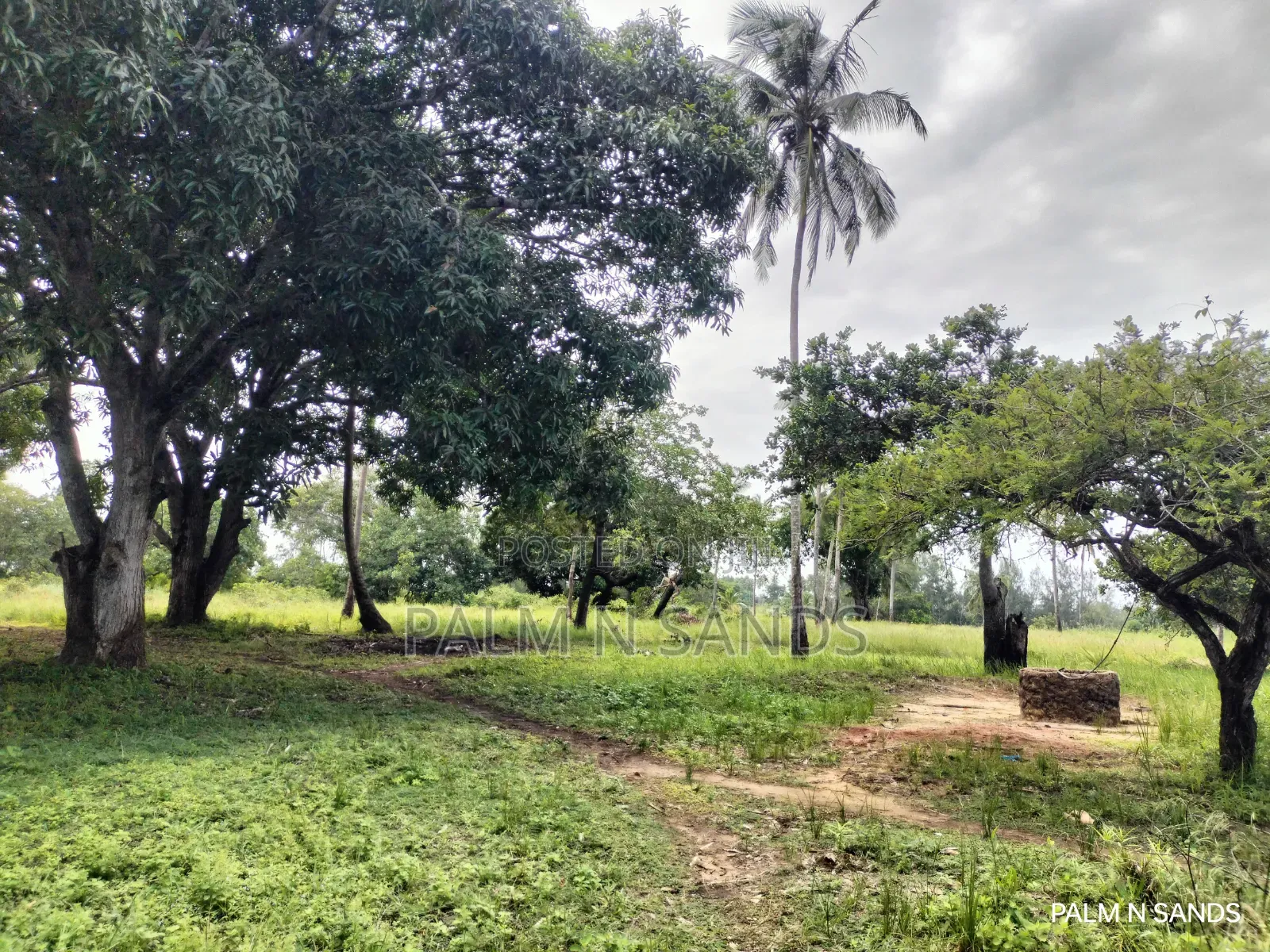 Unbeatable Value in Msambweni – 18 Acres for Only KSH 8m! 