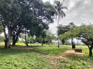  Unbeatable Value in Msambweni – 18 Acres for Only KSH 8m! 