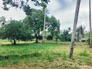  Unbeatable Value in Msambweni – 18 Acres for Only KSH 8m! 