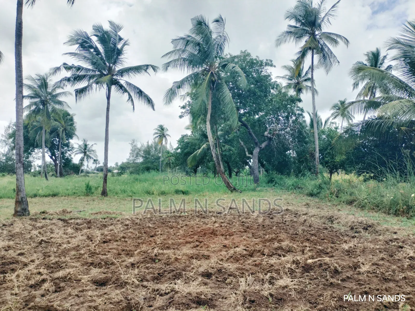  Unbeatable Value in Msambweni – 18 Acres for Only KSH 8m! 