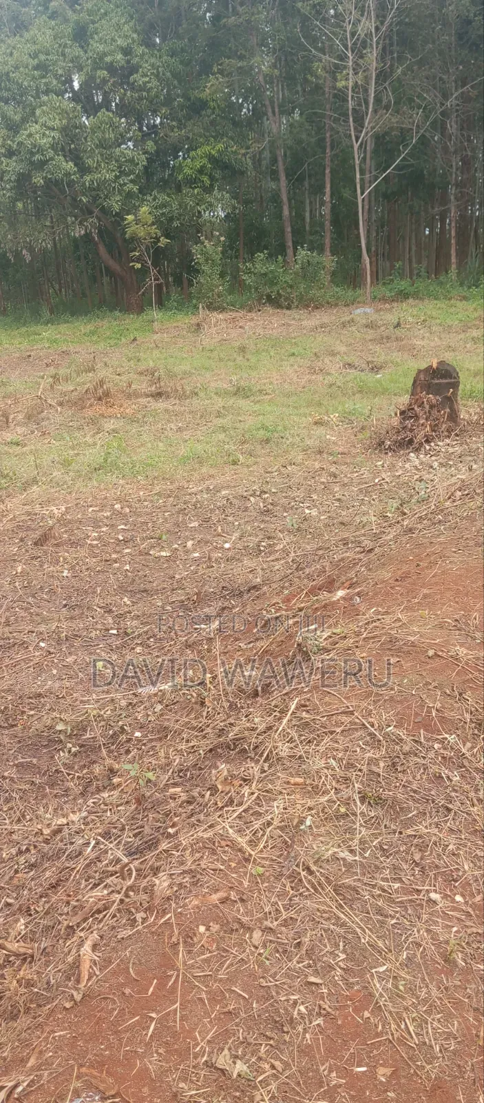Maragwa Avery Prime 2 Acre Land Touching Tarmack